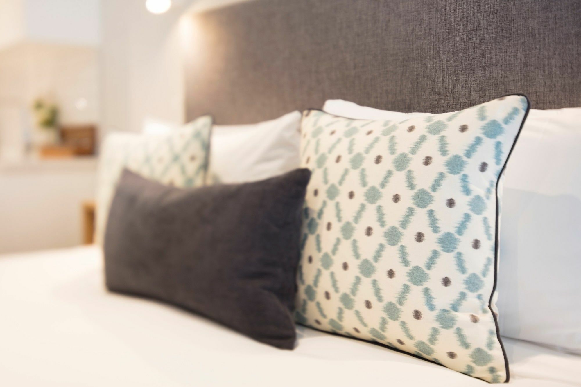 Beechwood Boutique Accommodation Dunedin Zewnętrze zdjęcie