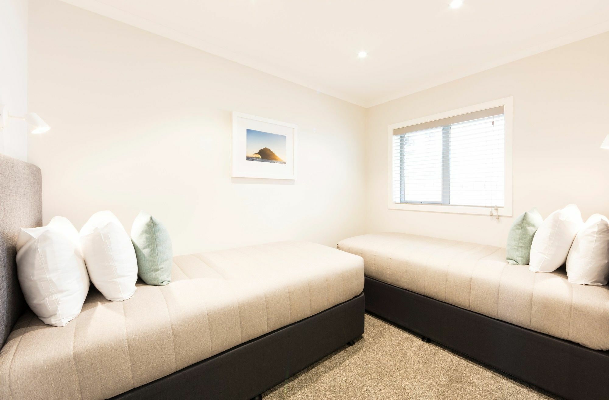 Beechwood Boutique Accommodation Dunedin Zewnętrze zdjęcie